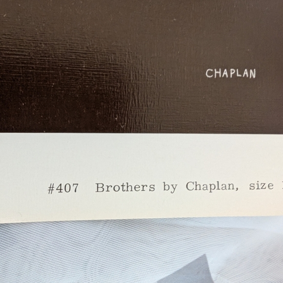 Puppies Reflection Lithographic print Vintage Douglass Dog By Chaplan #407 - Picture 2 of 3